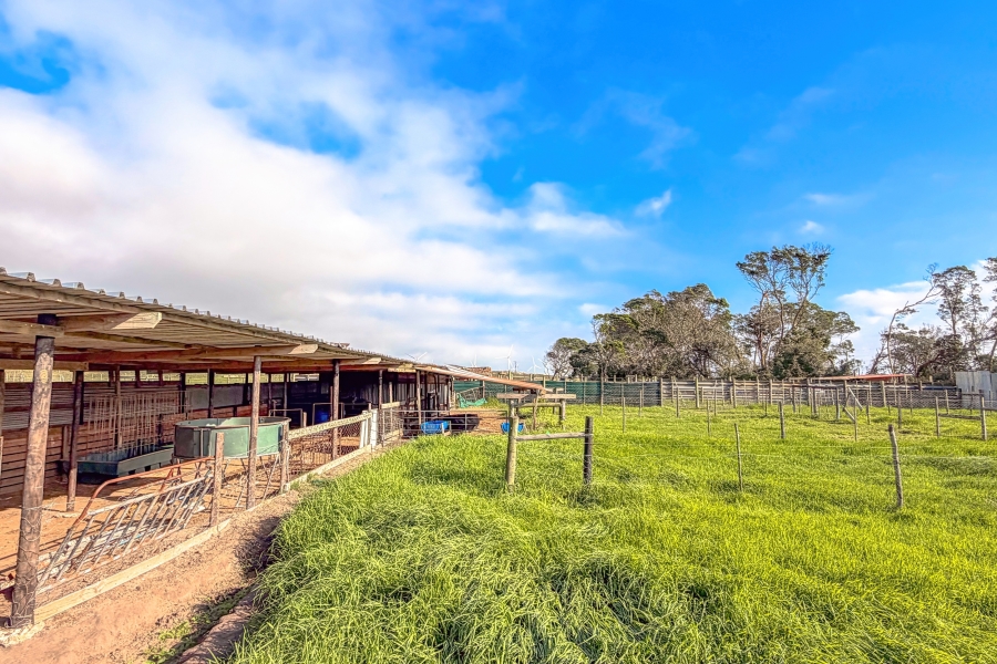 0 Bedroom Property for Sale in Humansdorp Rural Eastern Cape